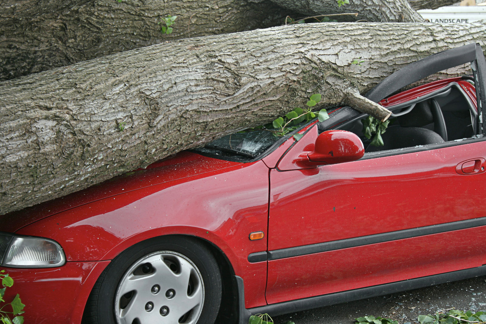 If a tree falls on my car, does insurance cover it?